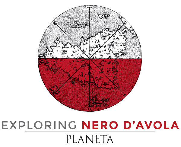 Exploring Nero d’Avola, il nostro racconto della vendemmia