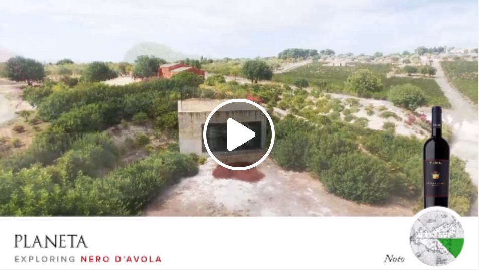 We fly on the vineyards of Nero D ‘Avola in Noto